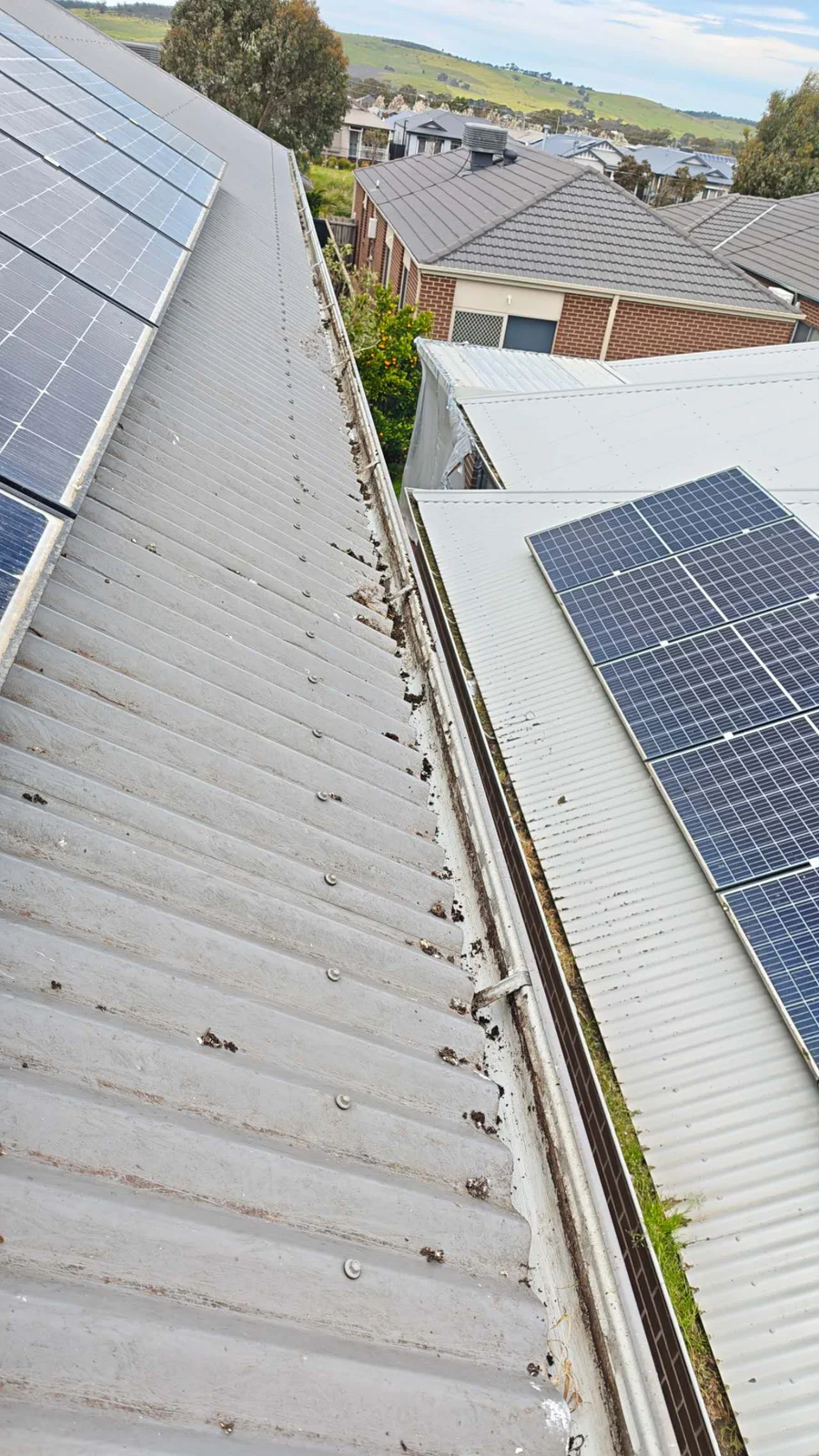 The roof-edge gutter after visible plant growth was removed